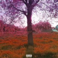 Lil Dza - unreleased dzems