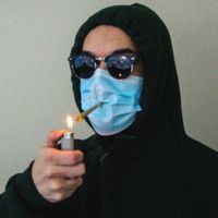 Kwite - Pest