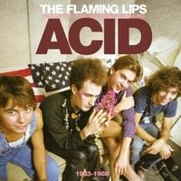 The Flaming Lips - Finally the Punk Rockers Are Taking Acid