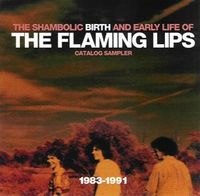 The Flaming Lips - Shambolic Birth and Early Life Of