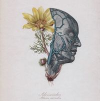 &oslash;jeRum - Cette mer qui est en toi