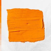 Defcee - Sumer Courses
