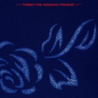 The Wedding Present - Tommy