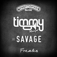 Timmy Trumpet - Freaks