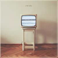 Zwidy - Szum