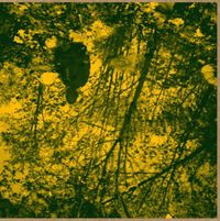 Brodie West Quintet - Meadow of Dreams