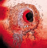 The Flying Luttenbachers - Terror Iridescence