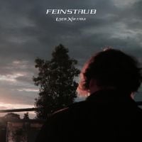 Laer Xirtam - FEINSTAUB