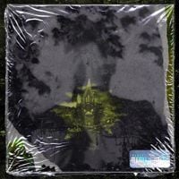 Laer Xirtam - mind in wonderland