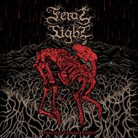 Feral Light - Psychic Contortions