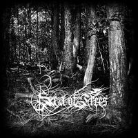 Sea Of Trees - Aokigahara