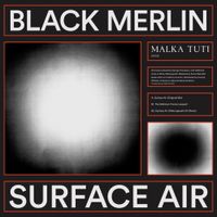 Black Merlin - Surface Air