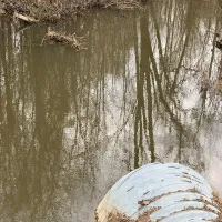 RINGEX PLASTER - 25.2: The River