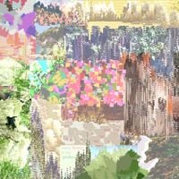 Lilien Rosarian - Every Flower in My Garden