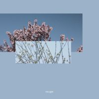 Jaron Steele - escape