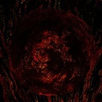 Hexeth - The Hexeth