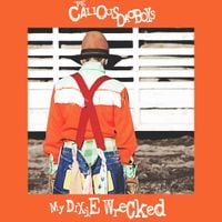 The Callous Daoboys - My Dixie Wrecked