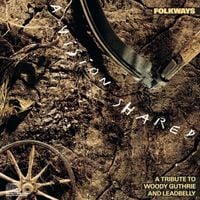 Various Artists - Folkways: A Vision Shared &ndash; A Tribute to Woody Guthrie & Leadbelly