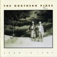 The Northern Pikes - Snow in June