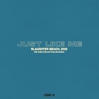 Slaughter Beach, Dog - Just Like Me