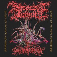 Shrouded Infinity - Through Caverns Unknown