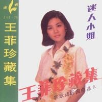 王菲 [Faye Wong] - 迷人小姐