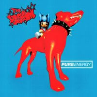 THE BLSSM - PURE ENERGY