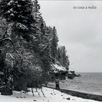 Shaina Hayes - To Coax a Waltz