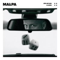 Małpa - B&oacute;g nie gra w kości