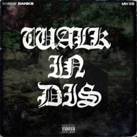 Snow Banks - Walk In Dis