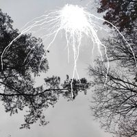 Aak - Halo of Acorns