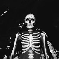 The Maine - Love & Drugs