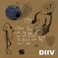 DIIV - Oshin - 10th Anniversary Reissue