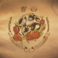 The Story So Far - Clairvoyant