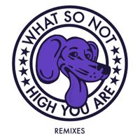 What So Not - High You Are (Remixes)