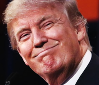 Pink Guy - Gays 4 Donald