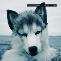 iamamiwhoami - ​flying or falling