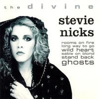 Stevie Nicks - The Divine Stevie Nicks