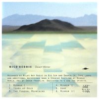 Nico Georis - Desert Mirror