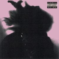 ROS&Eacute; RABBIT - THE LETTER R SUCKS