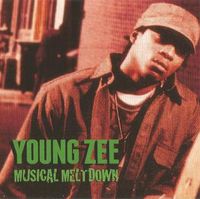 Young Zee - Musical Meltdown