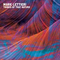 Mark Lettieri - Things Of That Nature
