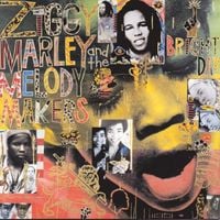 Ziggy Marley & The Melody Makers - One Bright Day