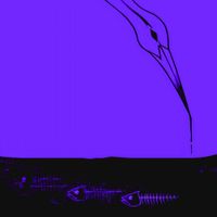 Lilac Boy - Lilac Girl