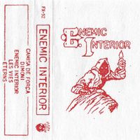 Enemic Interior - Enemic Interior