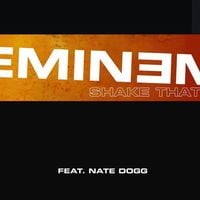 Eminem - Shake That