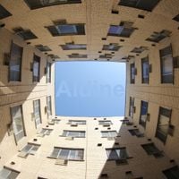 Rob Scallon - Aldine