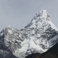 Gl&aring;sbird - Himalaya