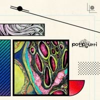 Pot-pourri - Diary