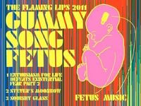The Flaming Lips - 2011 #6: Gummy Song Fetus
